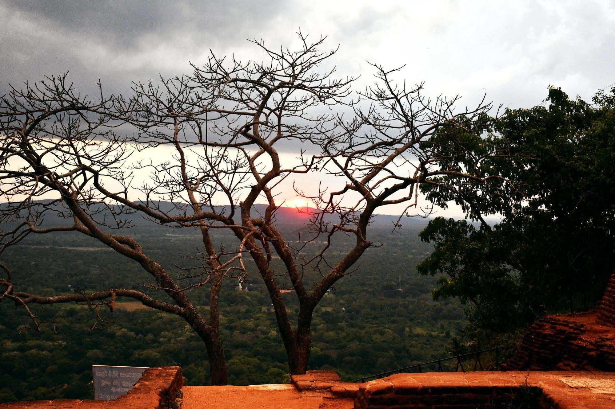 Cassandra Culture Resort Sigiriya Eksteriør bilde